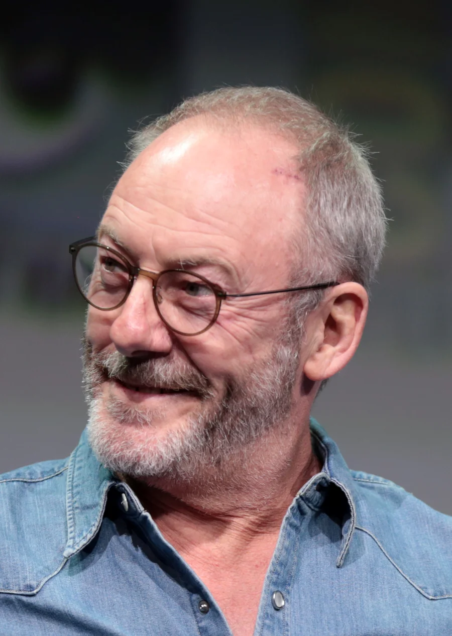 Liam Cunningham, voice actor